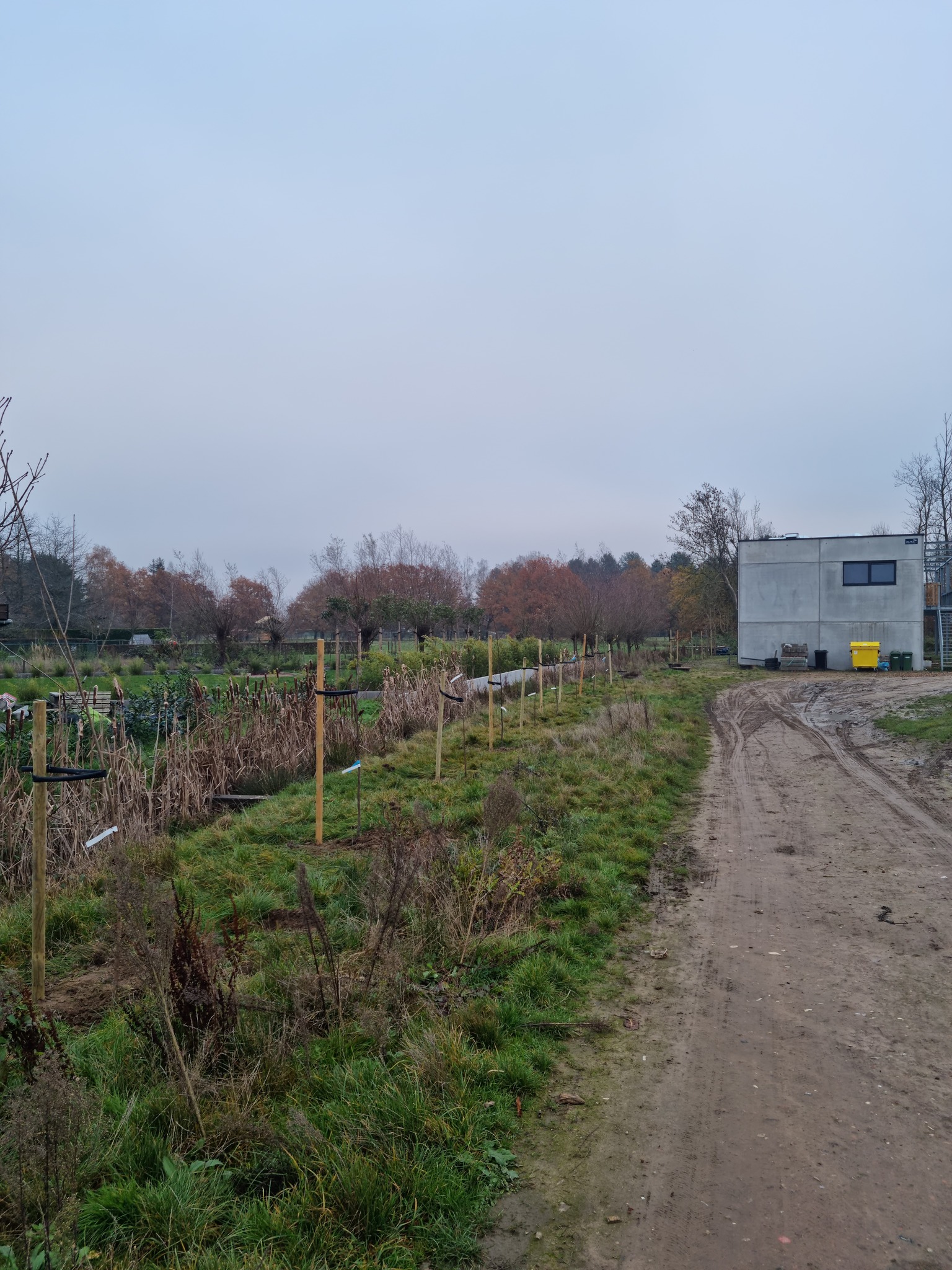 Aanplanting bomen deel 2